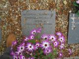 image of grave number 225353